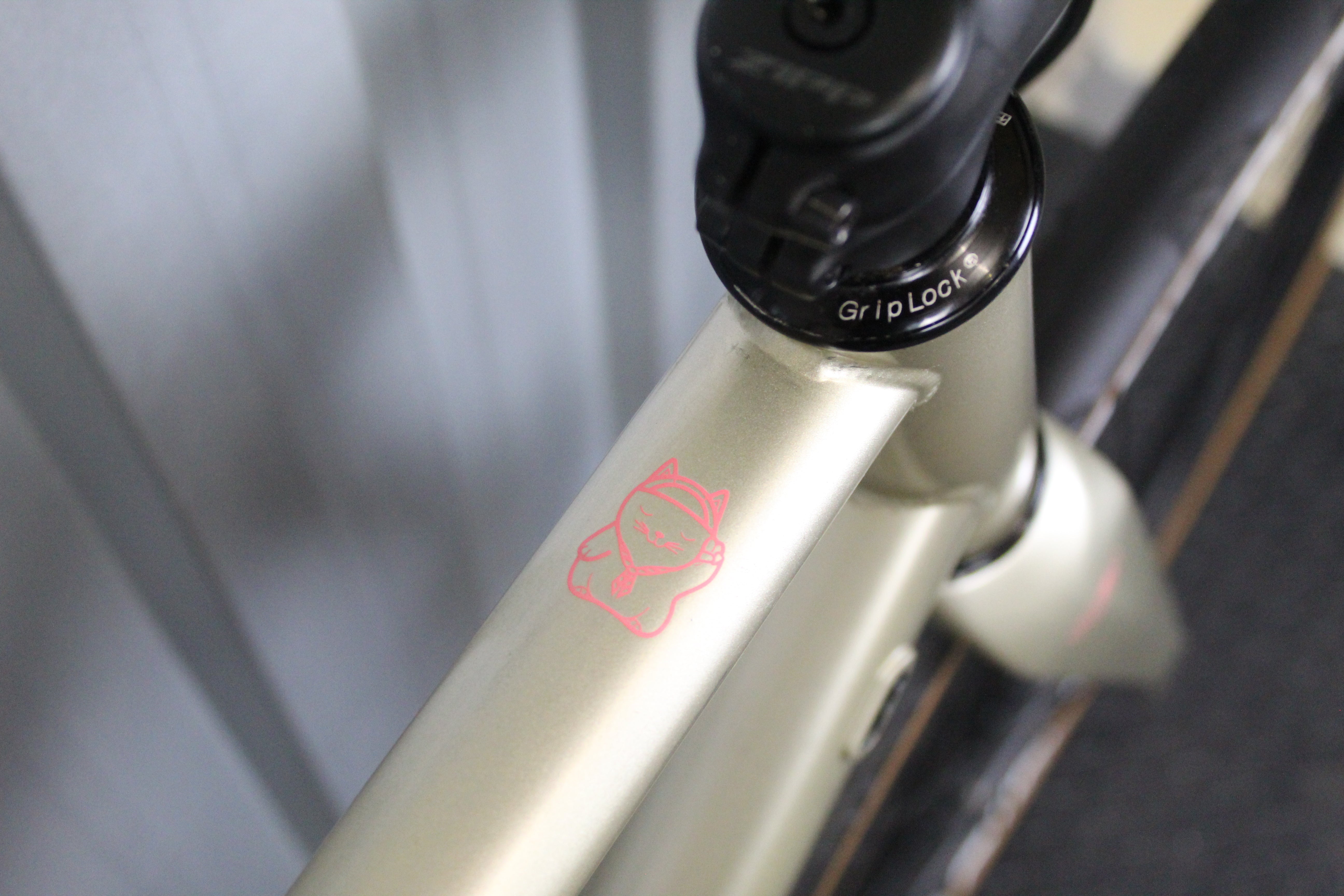 2023 Standert Pfadfinder 105 Di2 Road Bike Champagne Supernova (Size 58cm) - Used