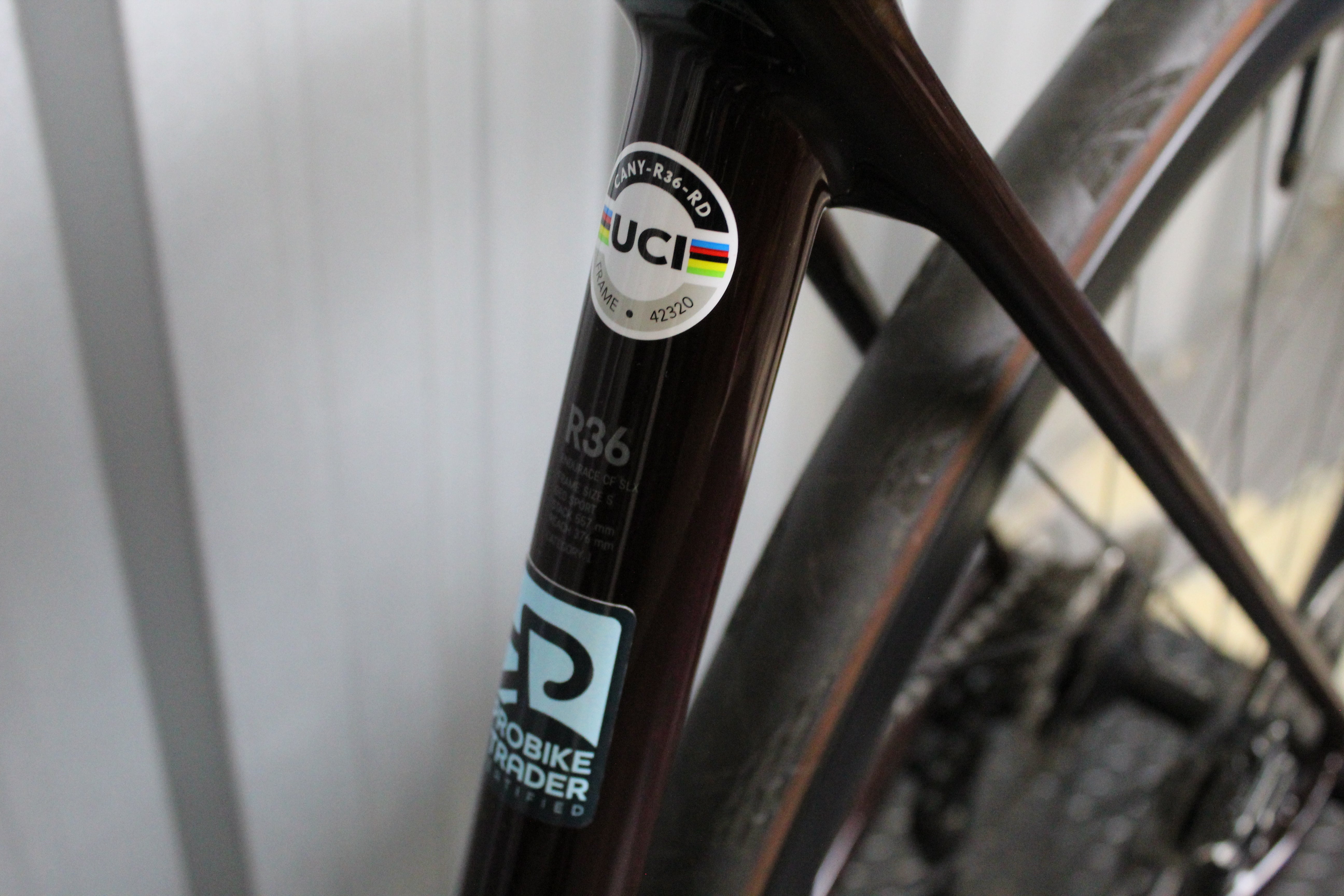 2023 Canyon Endurace CF SLX 9 Dura Ace Di2 Red Tinted (Size Small) - Near Mint